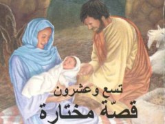 Selectie van 29 Bijbelverhalen met illustraties